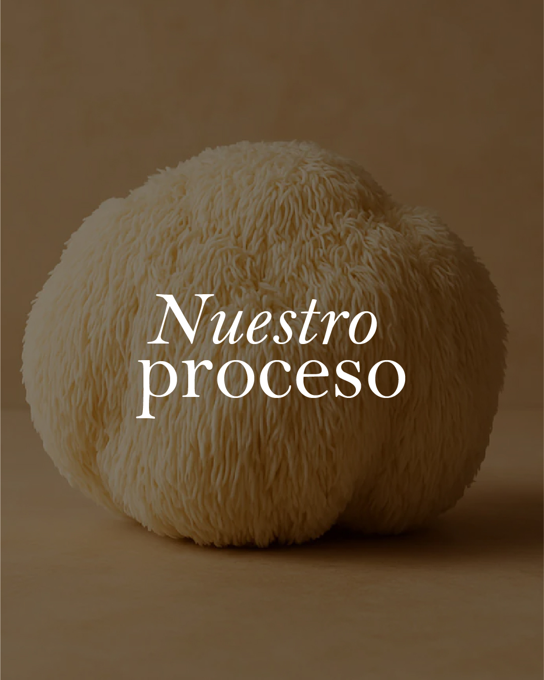 Nuestro proceso