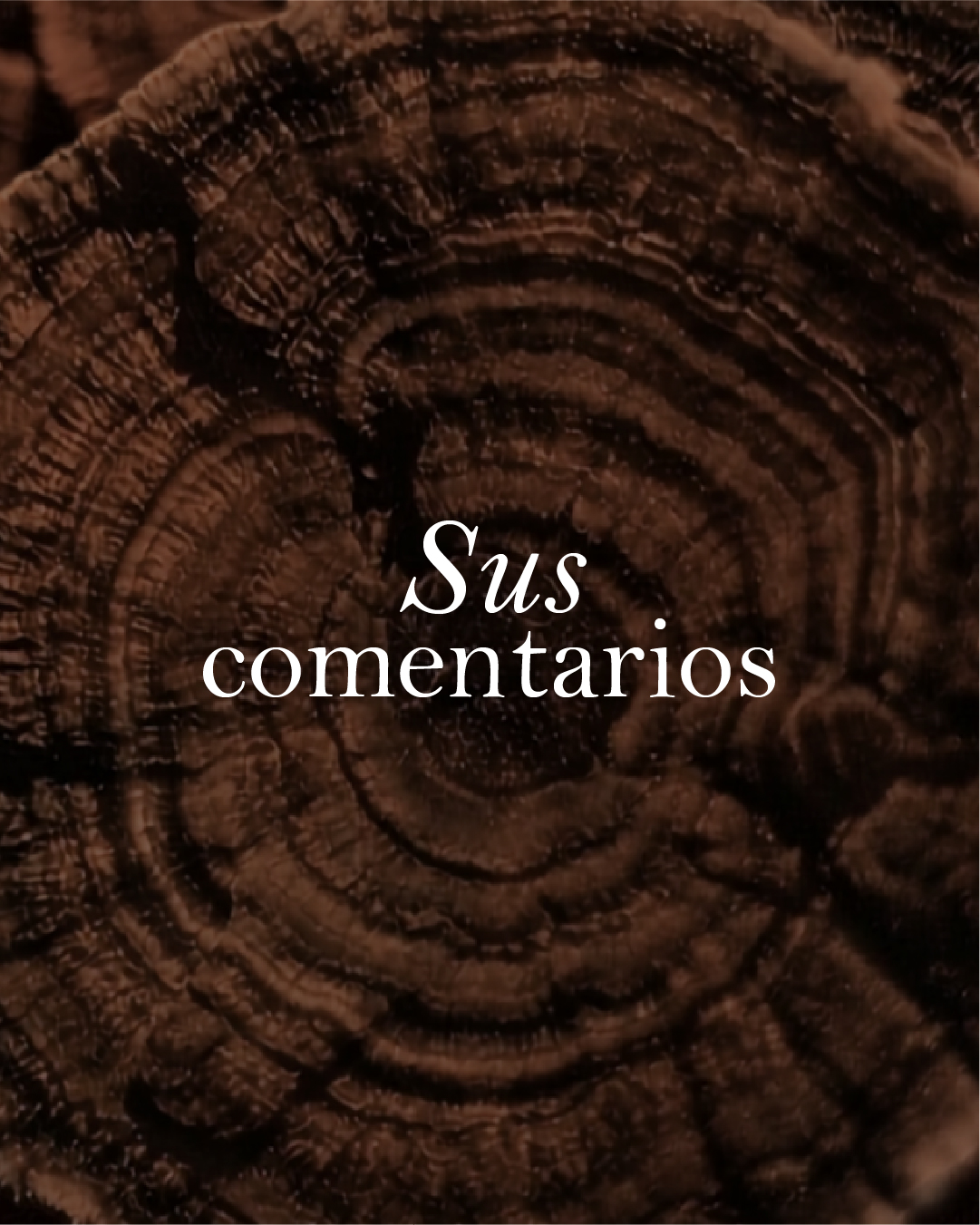 Sus comentarios